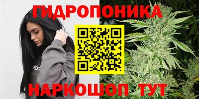 индика Кимры