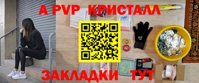ешки Кингисепп