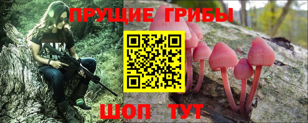 Красноярск  Галлюциногенные грибы MAGIC MUSHROOMS  Вход с VPN 